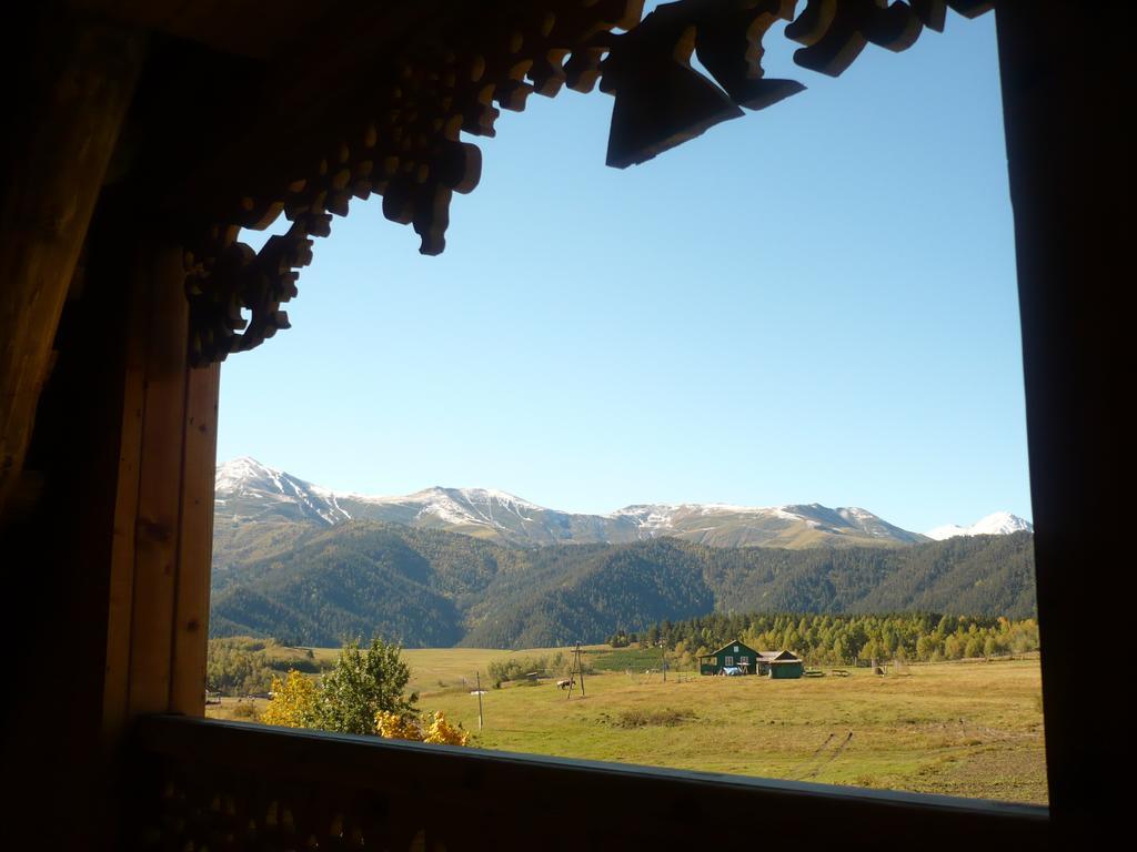 Guesthouse Javakhe Omalo Quarto foto